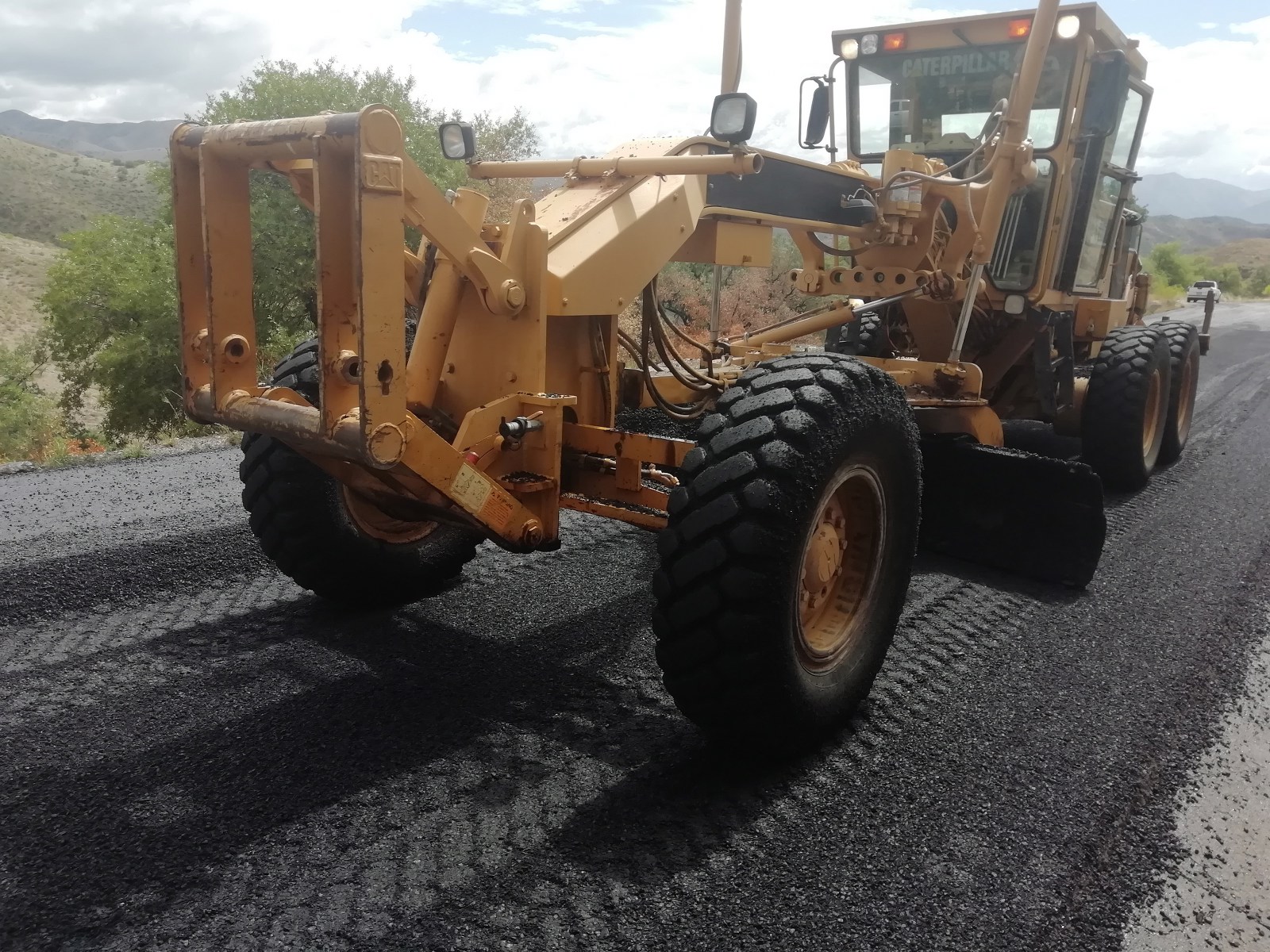 Conservacion Imuris 3